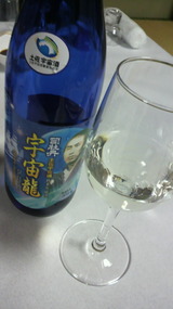 2010.9.29宇宙龍