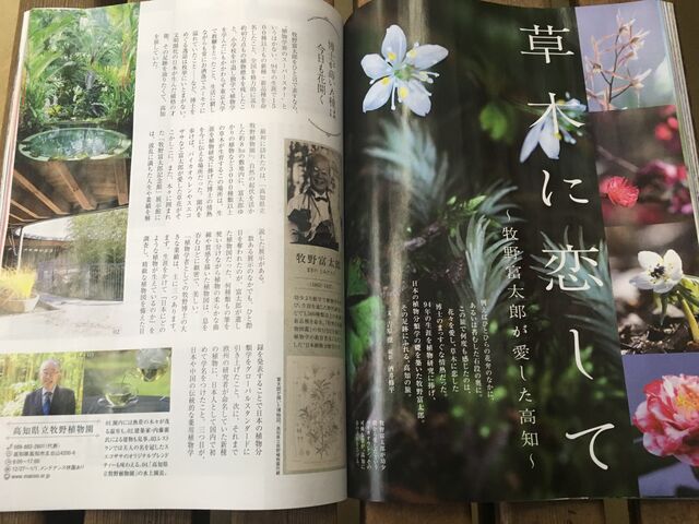 写真2 牧野博士記事