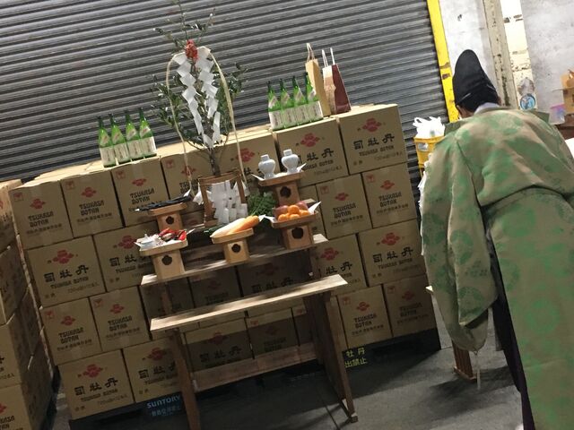 �̿�19 ������������