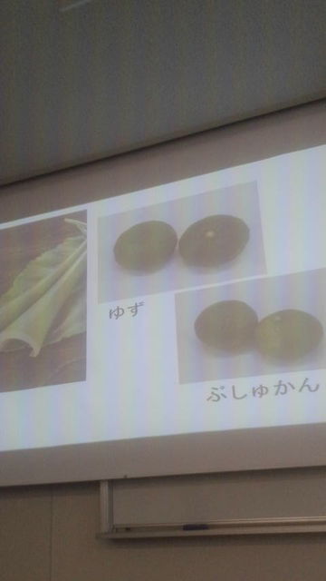 (16)���������ֱ顦�ݤߤ���