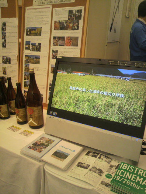 日土人DVD