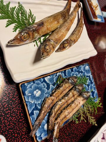 写真12 沖ウルメ、ヤケドの干物