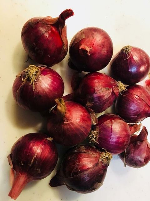 �̿�19 ­����å�