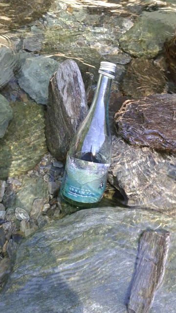 (15)�ۤܥ���ο���֥롼