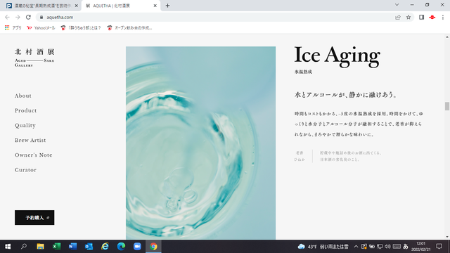 �̿�����ɹ������