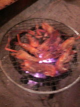 2008.11.12���