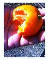 �餴�ȥ��֥ꡪ�Ť���