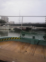 ������Ϥ�