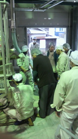 �����Ƽ��