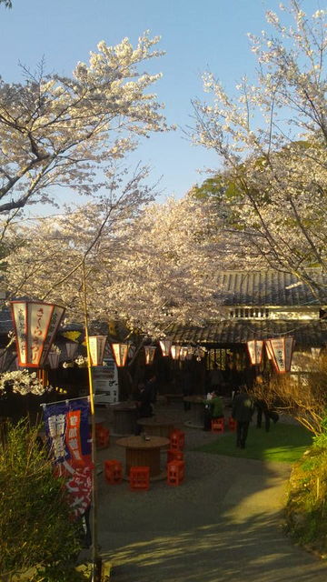 2019.4.8(6)花見棟