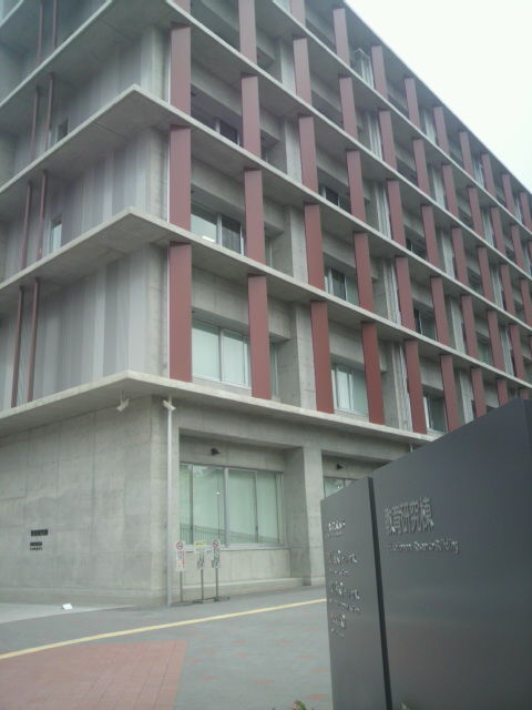 (11)���鸦����