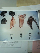 ����θ����̿�