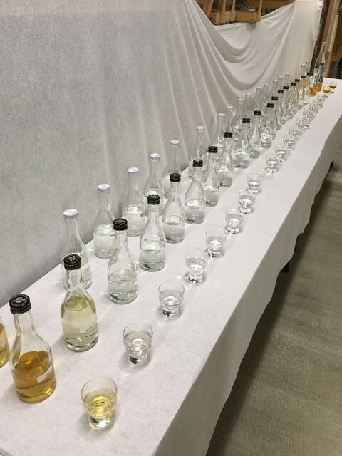 �̿�12 ����