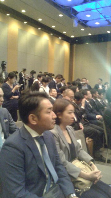 (4)ɽ�������