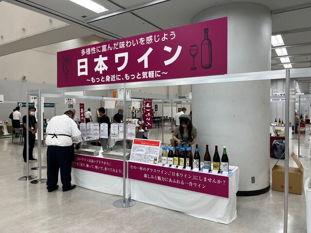 �̿�13  ���ܥ磻��