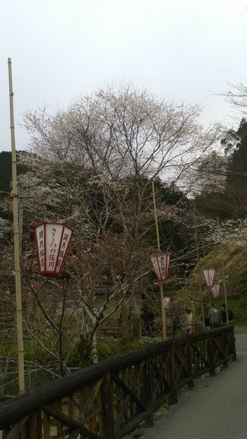 (4)�֤Τʤ���ƻ