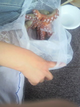 2010.6.24����