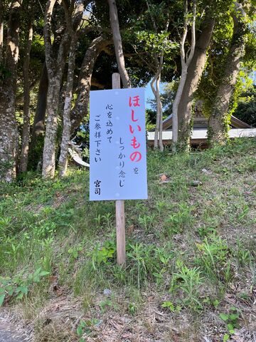 �̿�22  �ۤ�����δ���