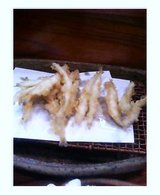 �򤦤�