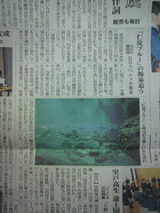 �ֿ�����׵���