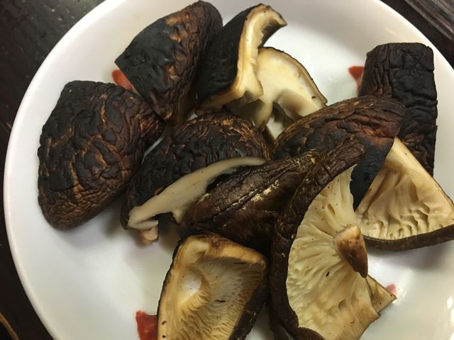�̿�20 ����������
