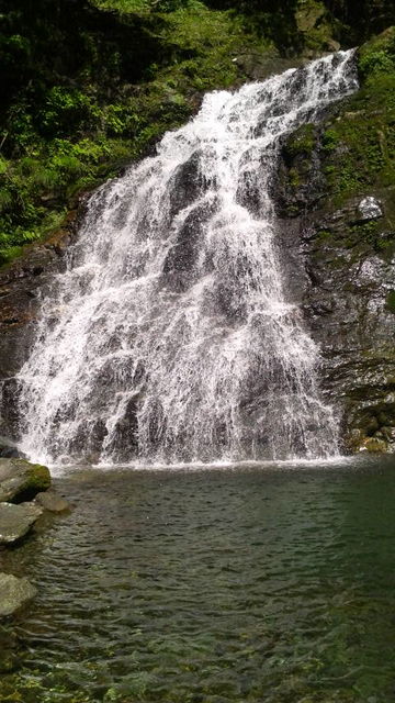 (12)��ζ����3