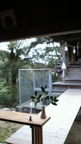 2010.2.5������