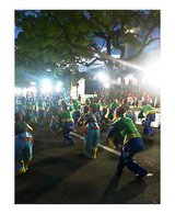 �褵����