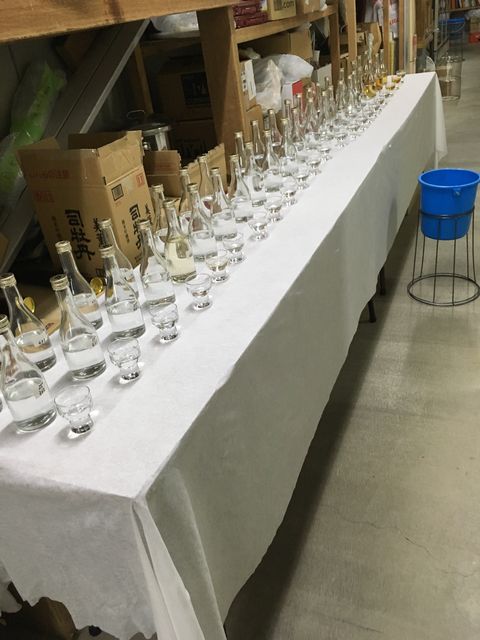 �̿�8 ����