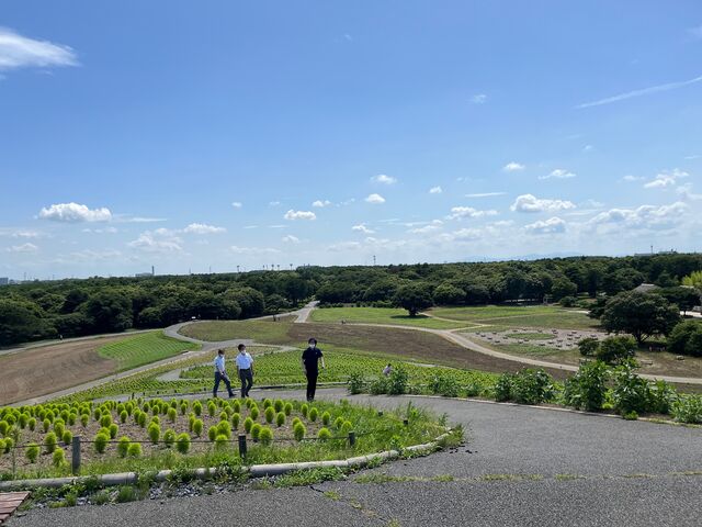 �̿�10  �Ҥ������͸���2