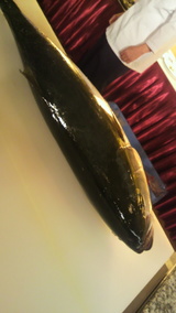 ɹ���δ��֥�