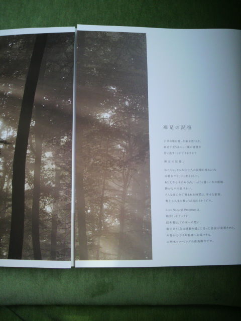 ֥饤֥ʥ롦ץߥץѥ