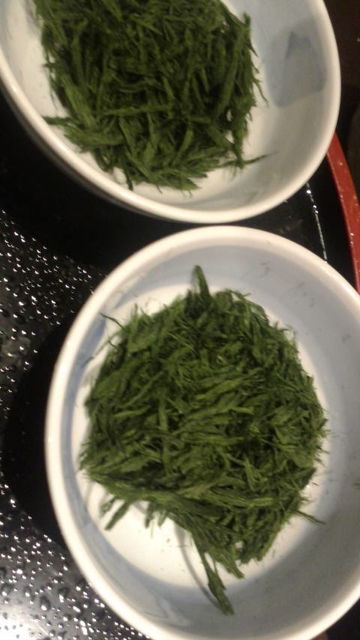 5(20)����������ĥΥ�