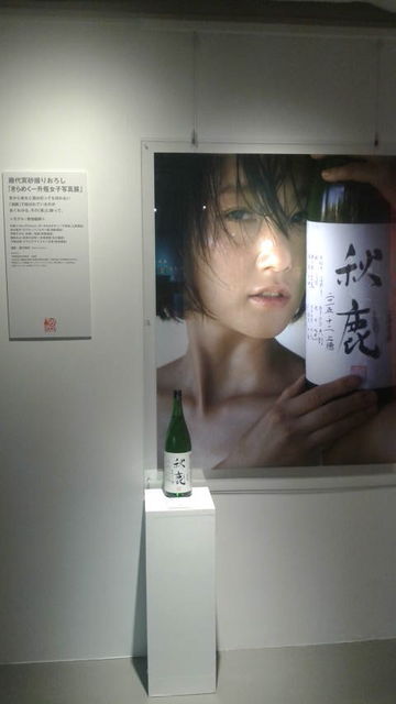 (11)����᤯�쾣�ӽ���