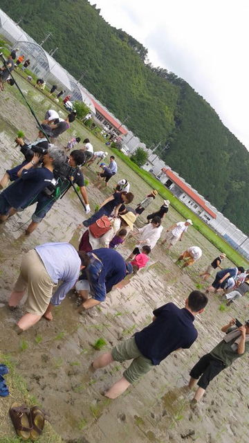 (1)田植え撮影