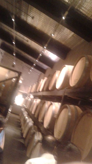 (30)������¢î