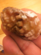 2012.6.8¼÷»Ê