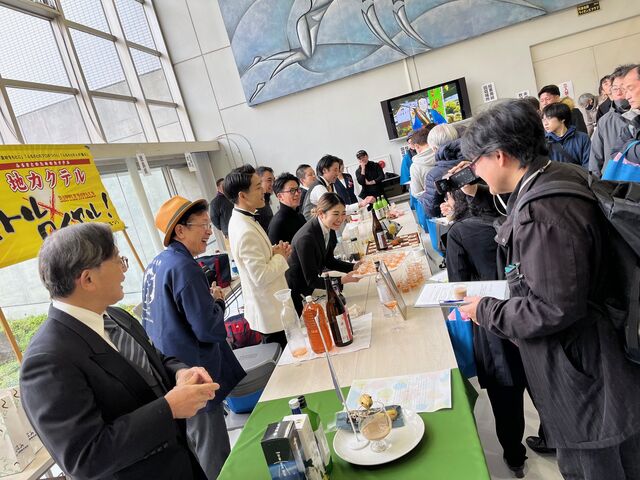 �̿�22  �Хȥ�����������