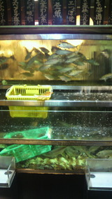 ����ʿ���