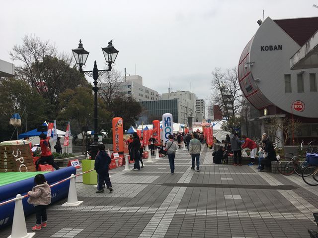 �̿�1 �ں��Τ����㤯���