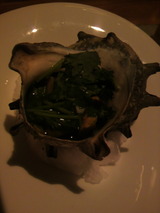 2012.8.22サザエ.jpg