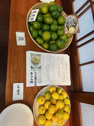 写真6 岡宗農園の酢みかん