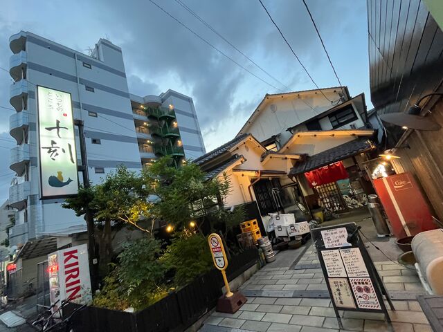 2025.8.15�̿�4  ����