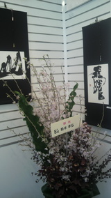 個展会場
