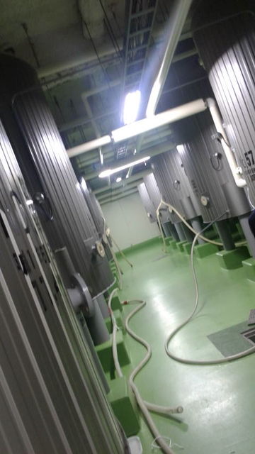 (25)�������¢����¢����