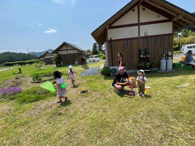 �̿�29  ͷ�ֻҶ�����