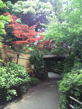 �ФޤФ椤�ػ���