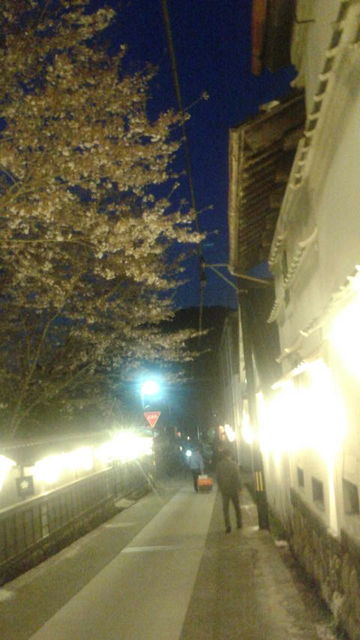 (21)夜桜、ボンボリ、白壁