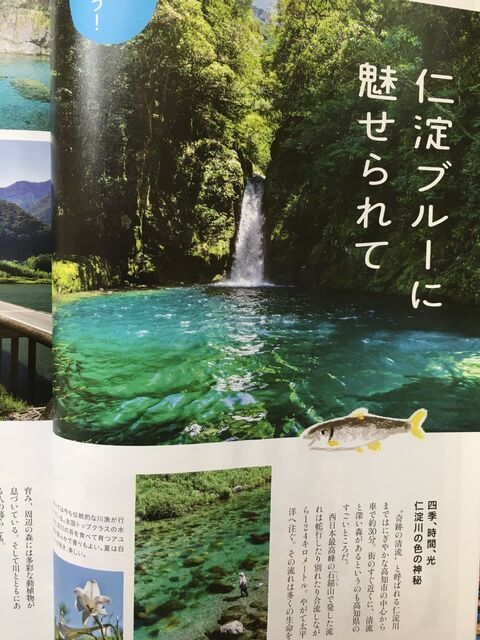 写真7 仁淀ブルー