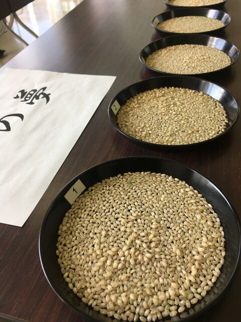 �̿�5 ���̴2